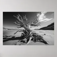 Driftwood tree trunk B&W photo