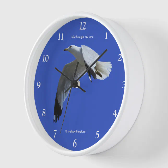 Breathtaking Ring-Billed Gull Shorebird in Flight Wall Clock