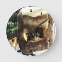 Sugar Glider in Furry Tree Truck Hanging Bed Round Clock