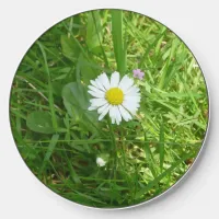 Pretty Little White and Yellow Miniature Daisy Wireless Charger