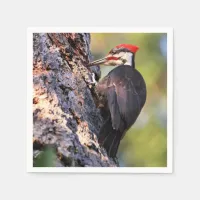 Beautiful Pileated Woodpecker on the Tree Napkins