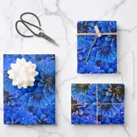 Dahlias in royal blue - floral design wrapping paper sheets