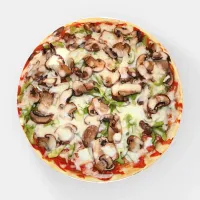 Cheese and Mushroom Pizza  Paperweight