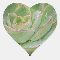 Succulent Plant Heart Sticker