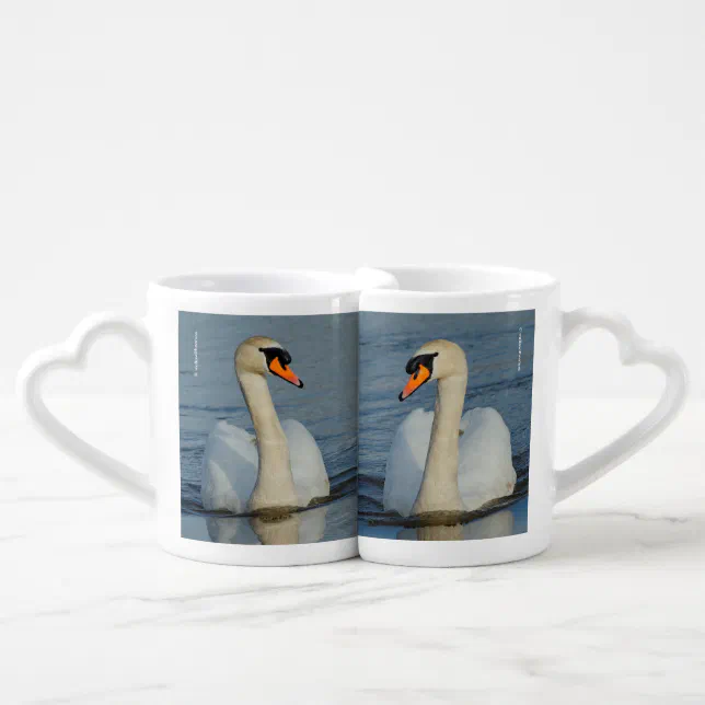 Mute Swans Coffee Mug Set