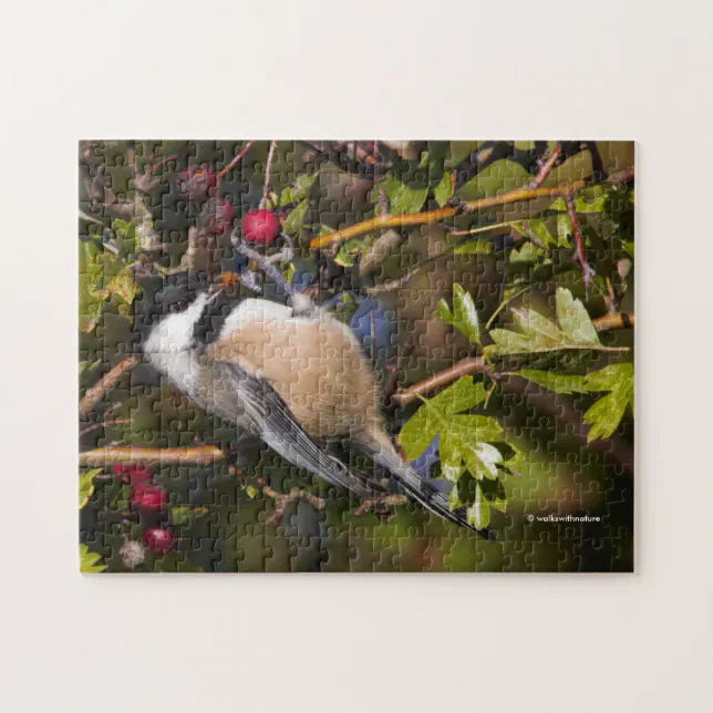 Black-Capped Chickadee Enjoying Autumn Berries Jigsaw Puzzle