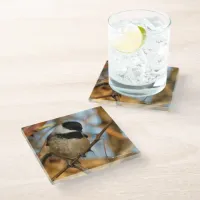 Cute Hopeful Black-Capped Chickadee Songbird Glass Coaster