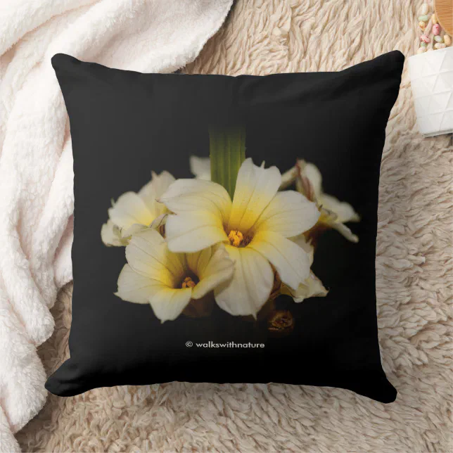 Beautiful Satin Flowers on Black Throw Pillow
