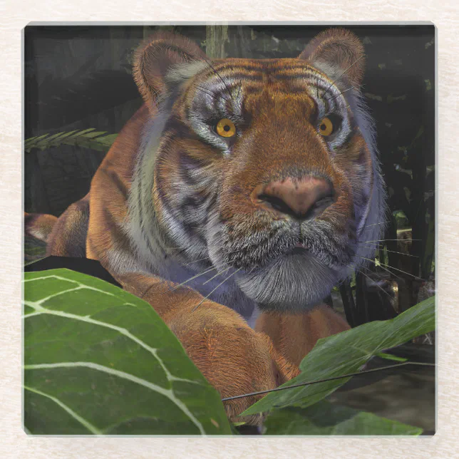 Tiger Crouching in the Jungle Glass Coaster