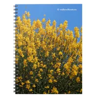 Yellow False Indigo / Wild Indigo / Horseflyweed Notebook