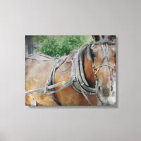 Amish Horse Canvas Print