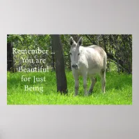 Pretty White Donkey in Green Field of Grass Poster