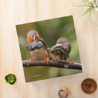 A Cheeky Pair of Zebra Finches 3 Ring Binder