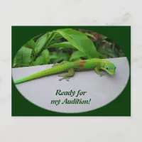 Gold Dust Day Gecko – Audition and Get Some Gecko Postcard