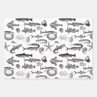 Black & White, Blue Green & Rainbow Sea Creatures  Wrapping Paper Sheets