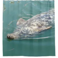 Funny Seal Floating on his Back Shower Curtain