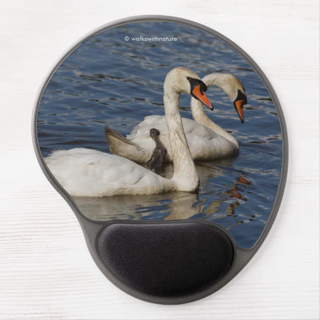 Elegant Mute Swans at Stanley Park Lagoon Gel Mouse Pad