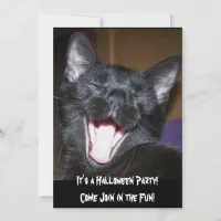 It's a Halloween Party Cat Invitation