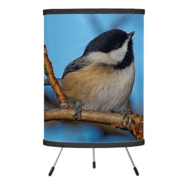 A Black-Capped Chickadee on the Pear Tree Tripod Lamp