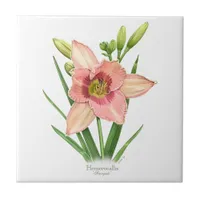 Orange Daylily Botanical Art Style Tile