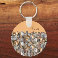 Cats meeting point - cute  keychain