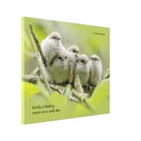 Inspirational Quote Family of Five Songbirds Canvas Print
