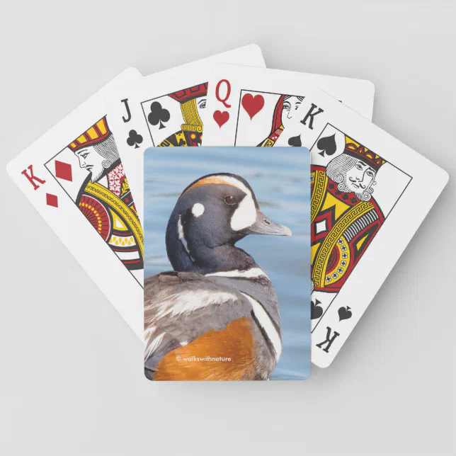 Beautiful Harlequin Duck on the Rock Poker Cards