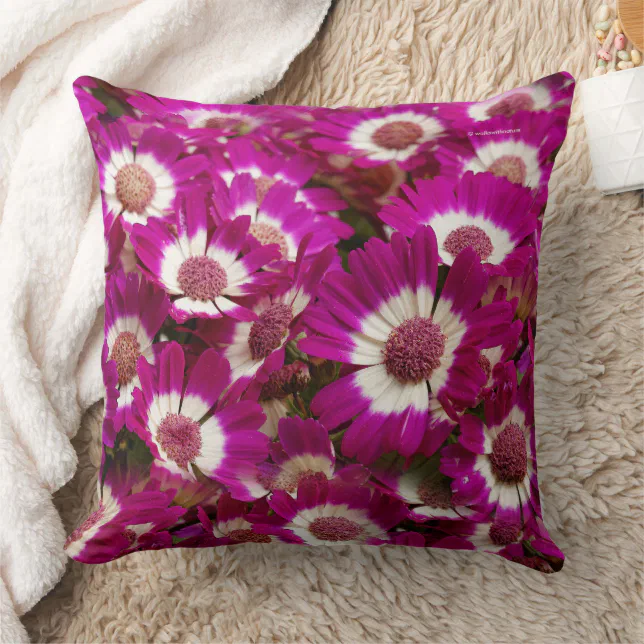 Beautiful Purple Cineraria Flowers Throw Pillow