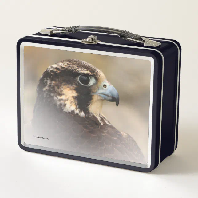 Stunning Vignetted Profile of a Peregrine Falcon Metal Lunch Box
