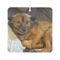 Add Your Pet's Photo to this  Air Freshener