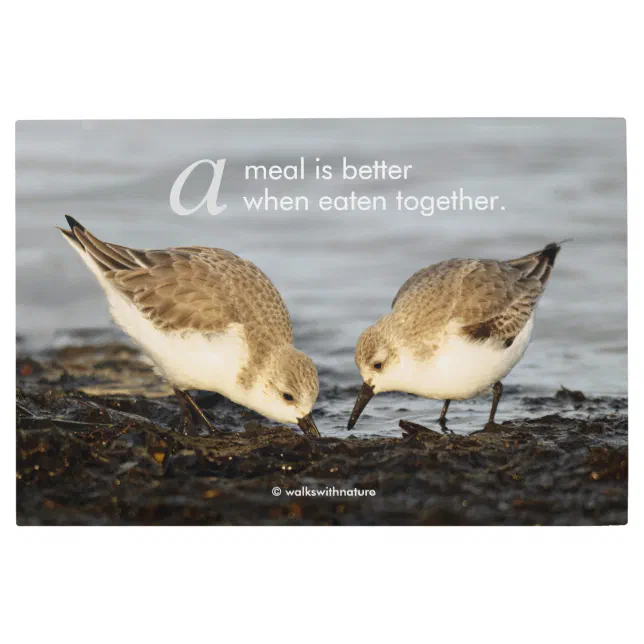 Inspirational "A Meal is Better ..." Sanderlings Metal Print