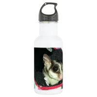 Sugar Glider Wearing a Hat Water Bottle