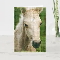 Birthday Foal Card