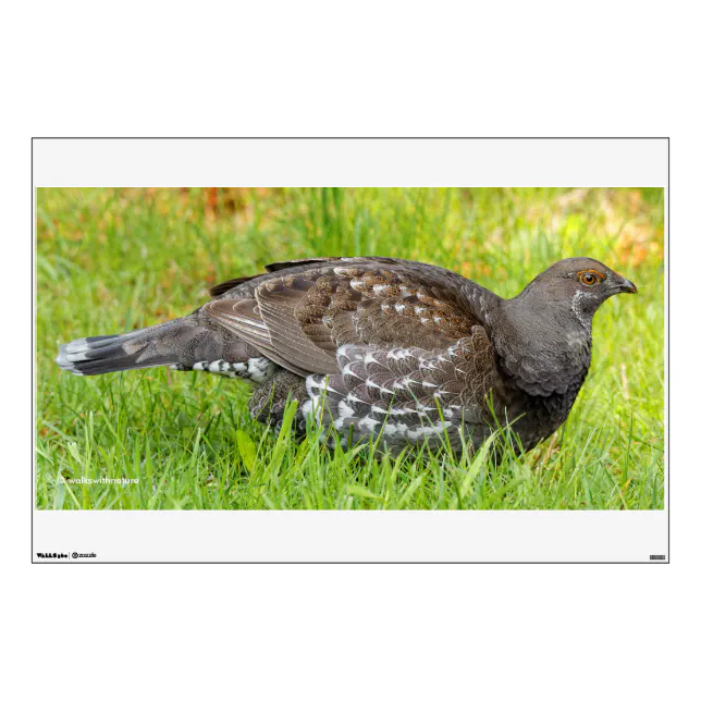 Beautiful Sooty Grouse in the Grass Wall Decal