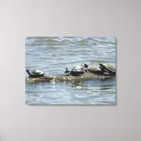 Turtles on a Log on the Mississippi River Photo   Canvas Print