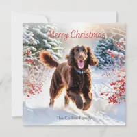 Irish Water Spaniel In Snow Winter Merry Christmas Holiday Card