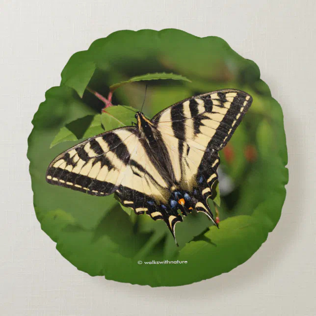 Beautiful Western Tiger Swallowtail Butterfly Round Pillow