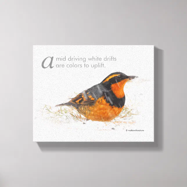 Poetic Winter Words Varied Thrush in the Snow Canvas Print