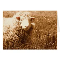 A Sheep Named Ashley in Sepia 