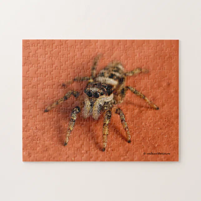 Jumping Spider Jigsaw Puzzle