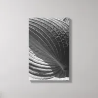 Black and White Hosta Leaf Canvas Print