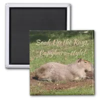 Soak Up the Rays, Capybara-style! Magnet