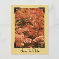 Fall Orange Leaves Wedding Save the Date Announcement Postcard