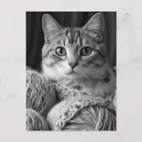 Cat with Yarn Black and White Postcard