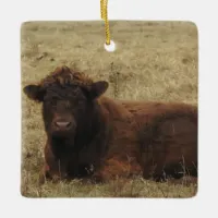 Long curly-haired brown cow Christmas Ceramic Ornament