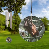 Baby Orangutan - Hang in there Wind Chime