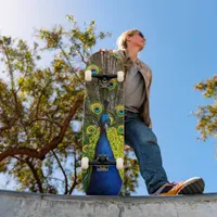 Colorful peacock skateboard