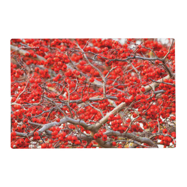 Bright Red Winterberries Holly Tree Berries Placemat