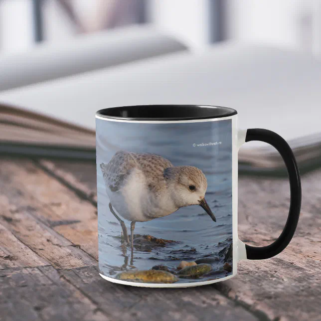 Cute Sanderling Sandpiper Forages on Shore Mug