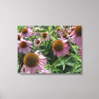 Echinacea Purple and Yellow Cone Flowers Canvas Print